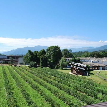 Agriturismo Il Frutto Permesso Bibiana Ngoại thất bức ảnh