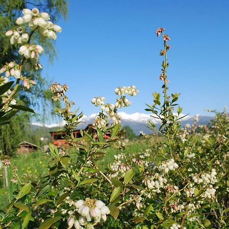 Agriturismo Il Frutto Permesso Bibiana Ngoại thất bức ảnh