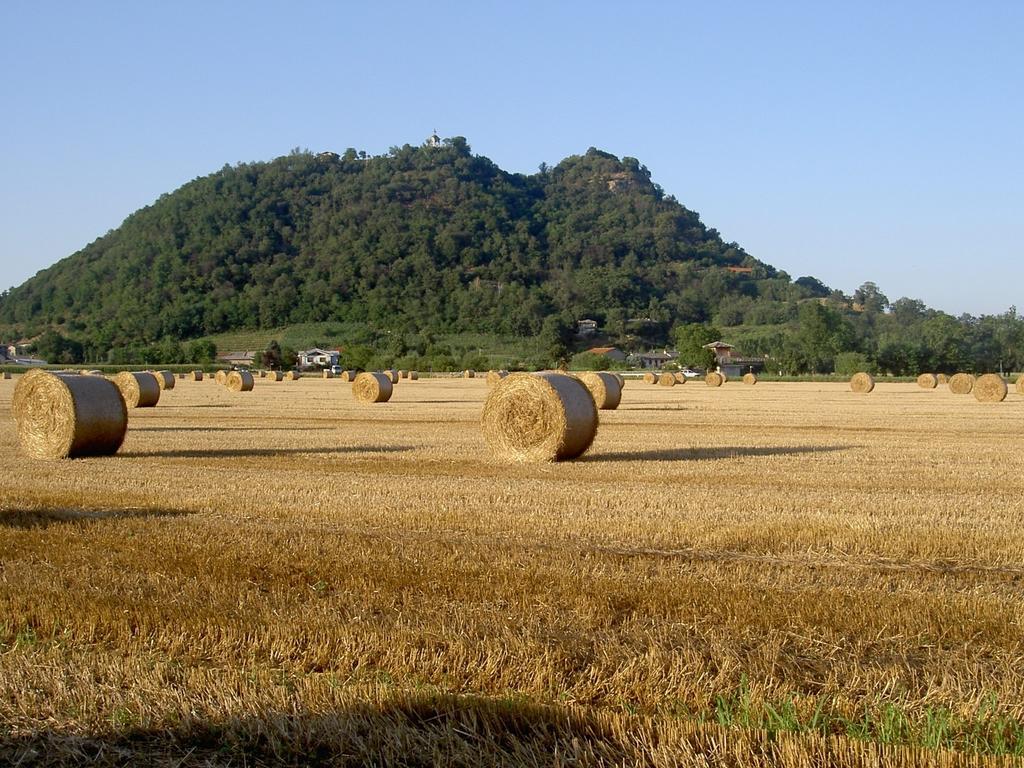 Agriturismo Il Frutto Permesso Bibiana Ngoại thất bức ảnh