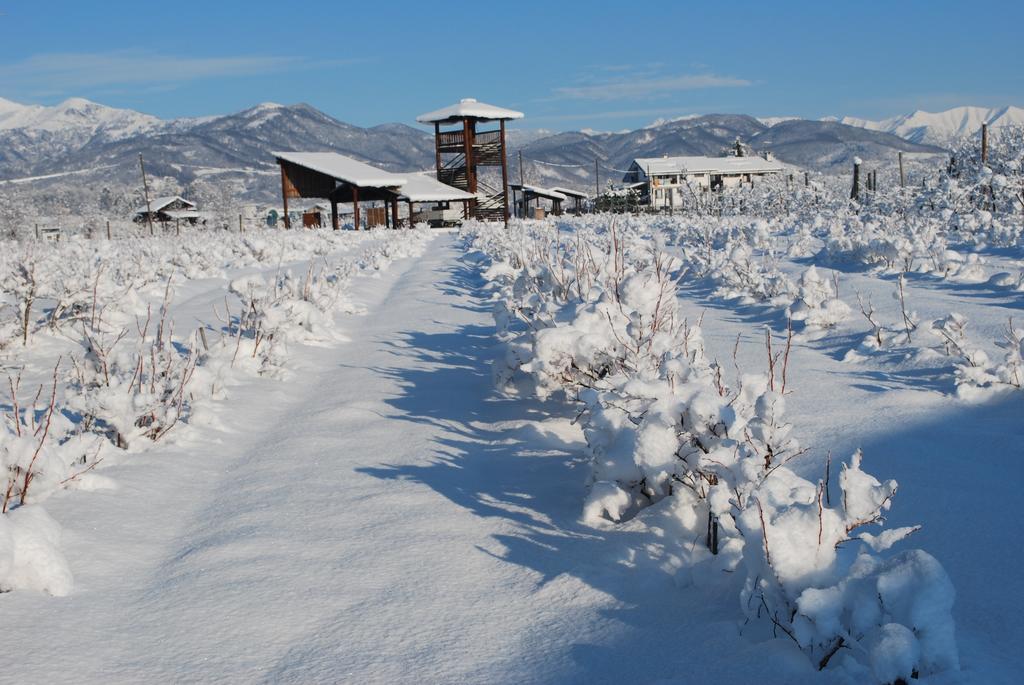 Agriturismo Il Frutto Permesso Bibiana Ngoại thất bức ảnh