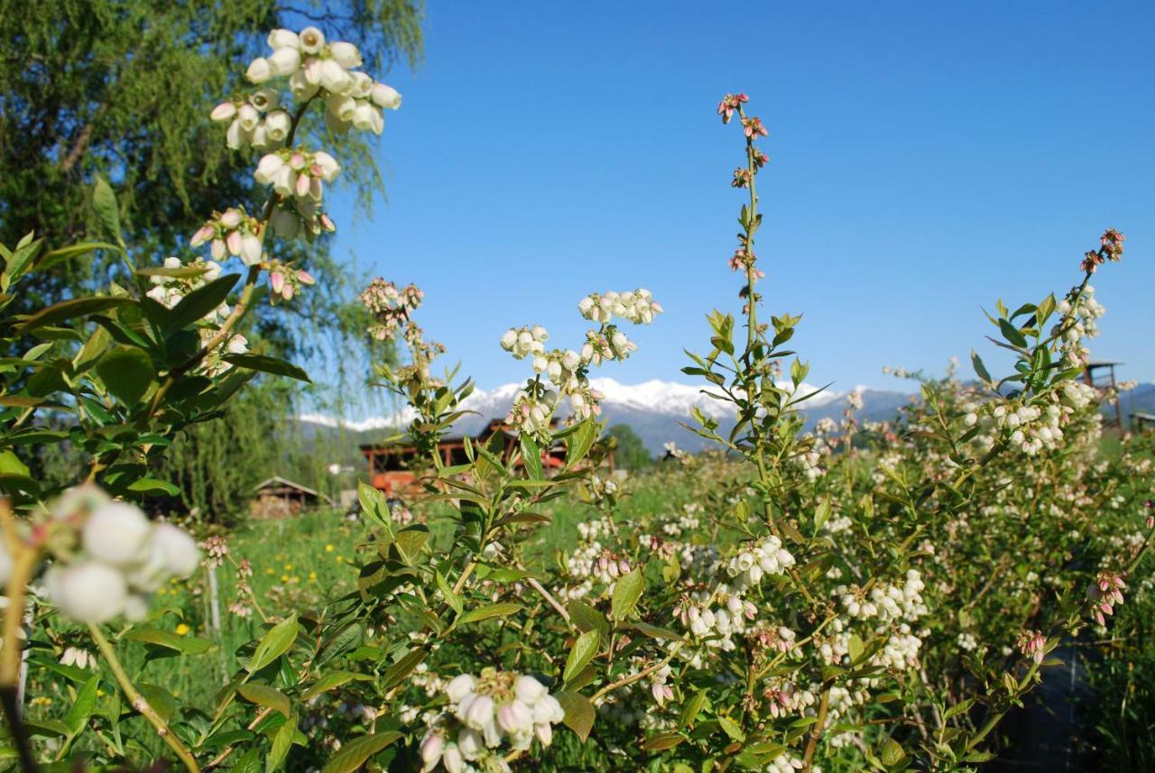 Agriturismo Il Frutto Permesso Bibiana Ngoại thất bức ảnh